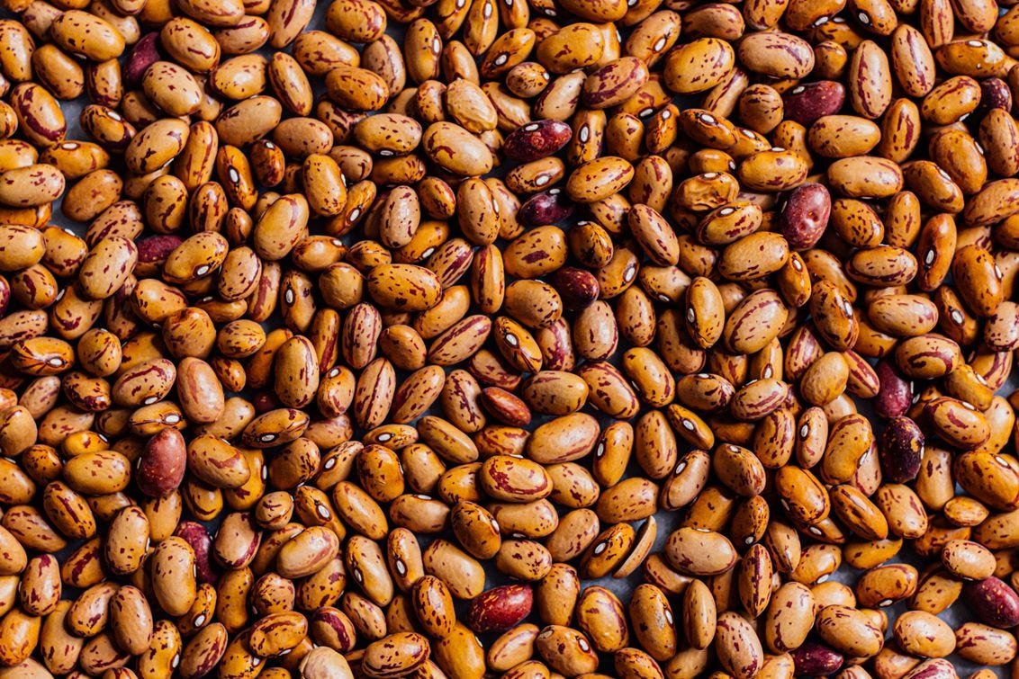 Pinto beans