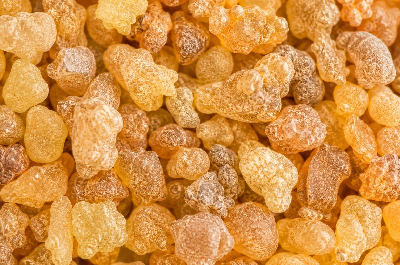 Boswellia frankincense resin