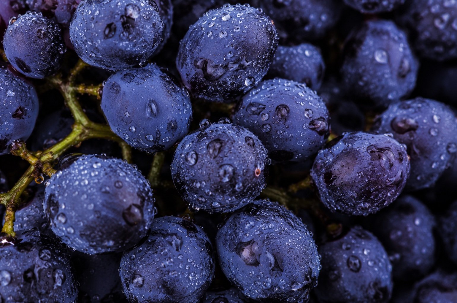 Fresh grapes with water droplets