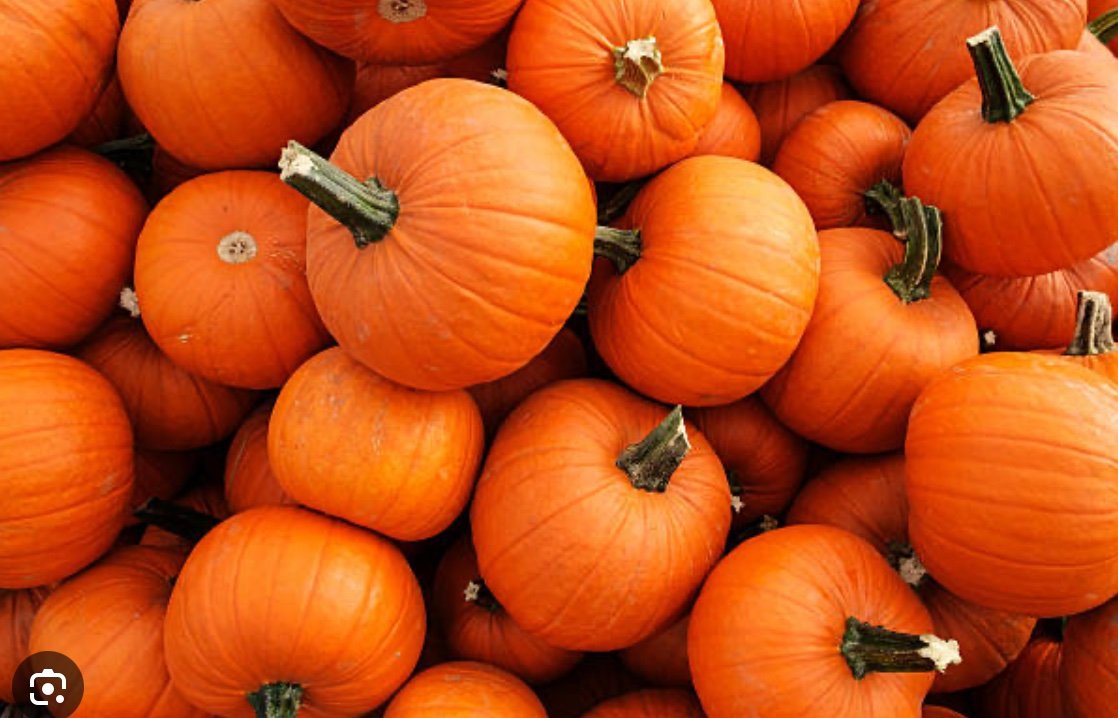 Pumpkin powder source