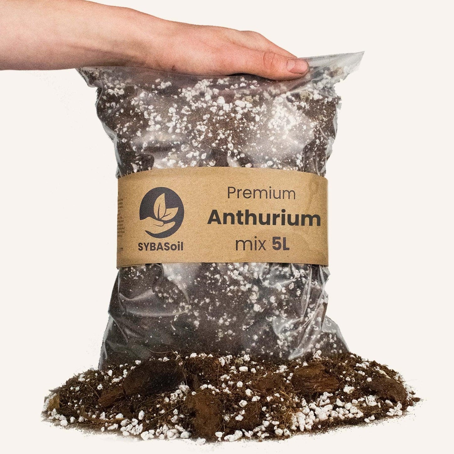 Anthurium mix 5L